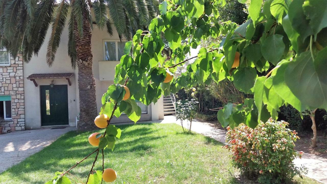 Affittacamere Tory Sirolo Exteriér fotografie